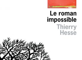 LE ROMAN IMPOSSIBLE de Thierry Hesse