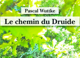 LE CHEMIN DU DRUIDE de Pascal Wuttke