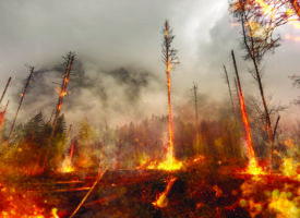 Incendies de forêt: l’Europe étoffe son arsenal